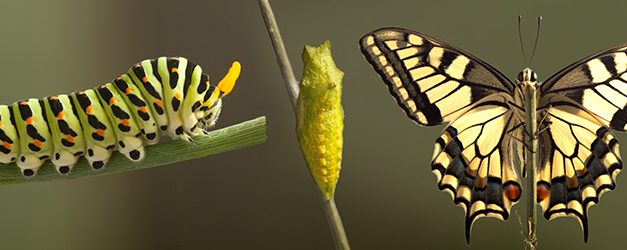 LES EXPERTS SANTE NATURELLE : Ils enquêtent sur leur propre corps !