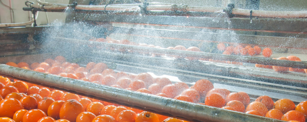 Alimentation industrielle : il y a aussi…du bon