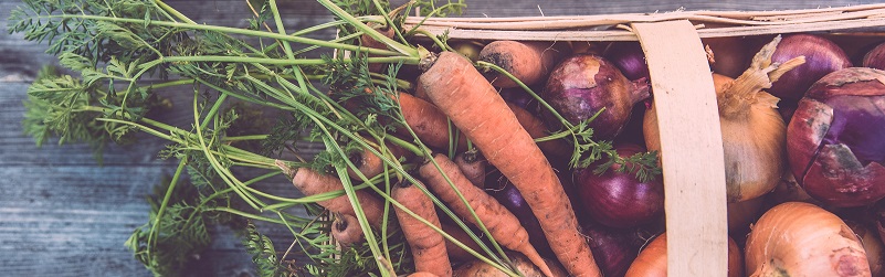 Ouvrez votre plan d’épargne…légume !