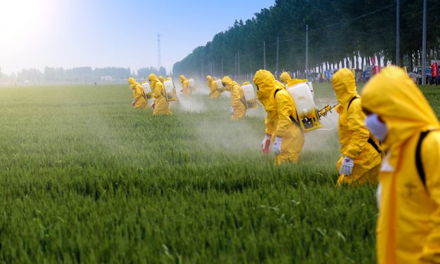 Les pesticides…1000 fois plus toxiques que ce qu’on nous dit !?