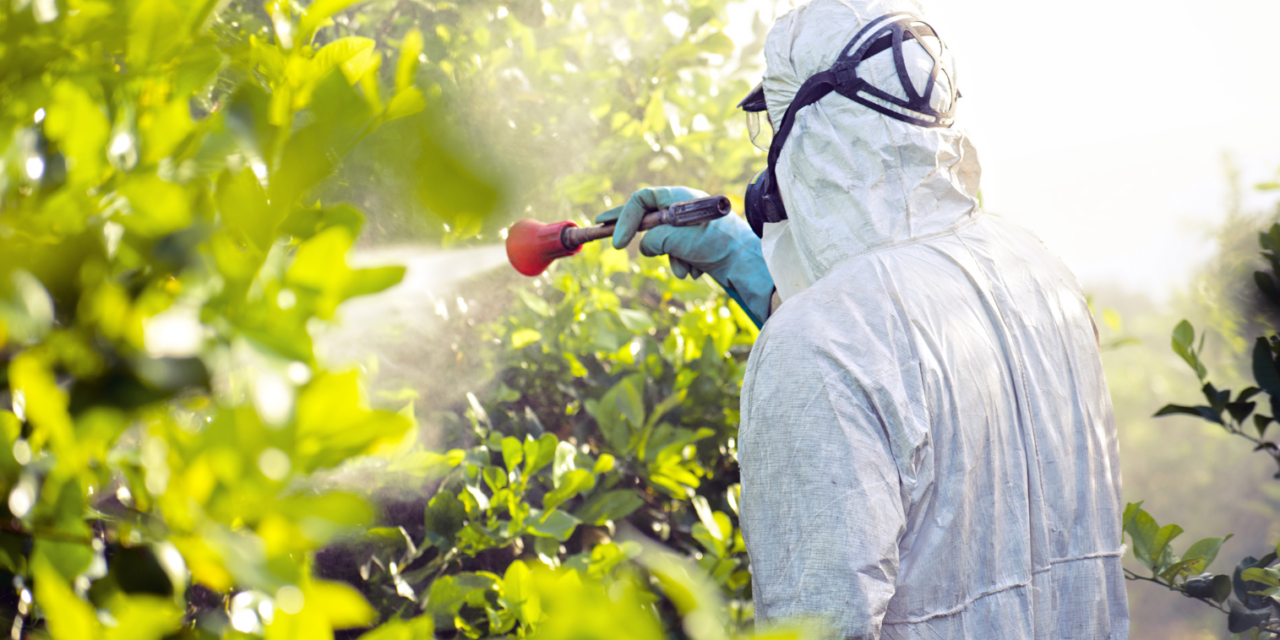 Pesticides : éliminer les toxines qui nous pourrissent
