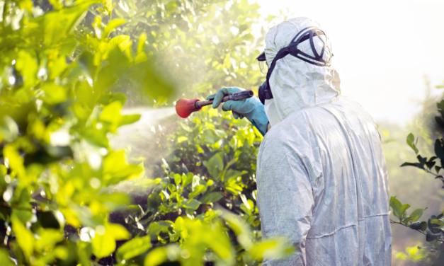 Pesticides : éliminer les toxines qui nous pourrissent