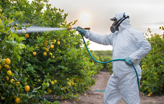 Révélations sur les pesticides (à lire cal-me-ment)