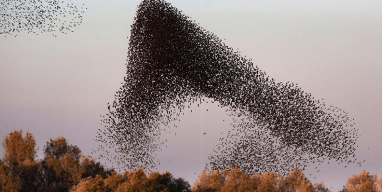 Message venu du ciel…