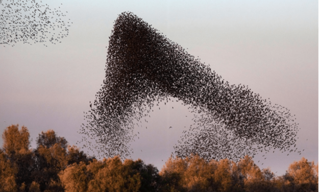 Message venu du ciel…