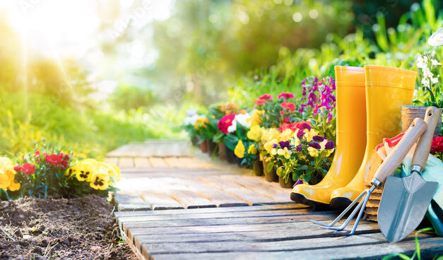 Ce qui se passe dans votre jardin et que vous n’imaginez pas une seconde