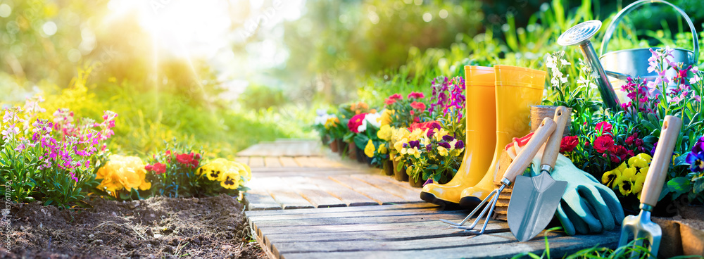 Ce qui se passe dans votre jardin et que vous n’imaginez pas une seconde