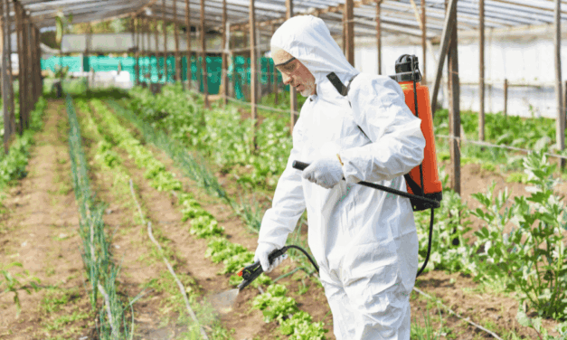 Pesticides : c’est Pinocchio au gouvernement !