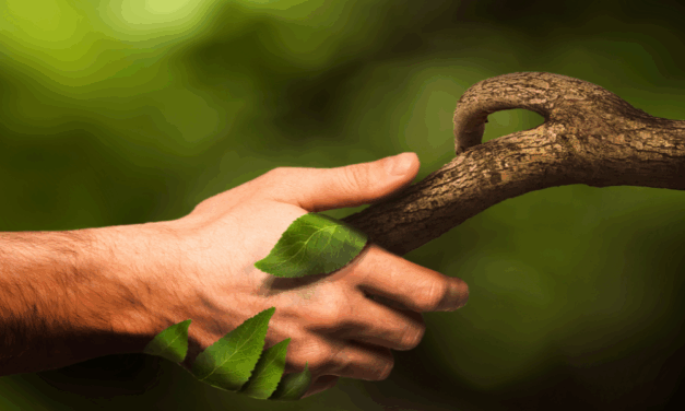 « Mais ta gueu.., Combris ! » 