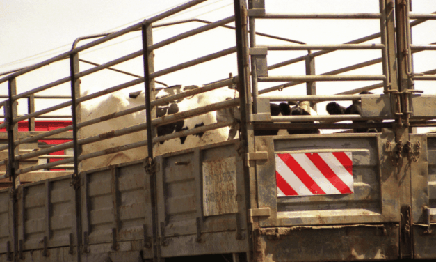 La honte ! Ça s’est passé vendredi dernier en France…