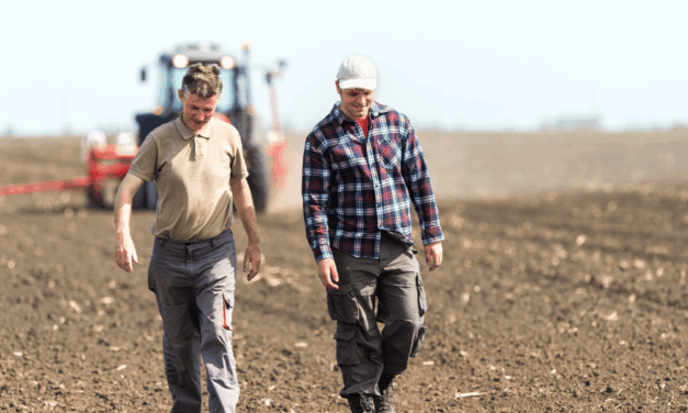 Le pire, c’est qu’ils aiment leurs vaches…