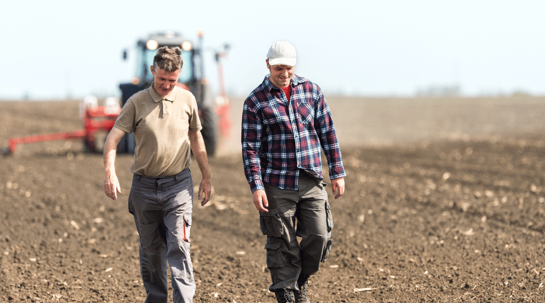 Le pire, c’est qu’ils aiment leurs vaches…